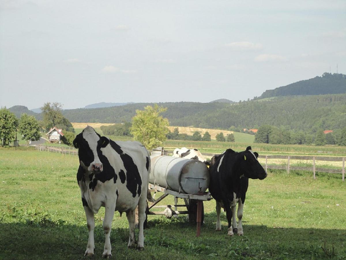 Ferienwohnungen&Pension Göb Geisa Exterior foto